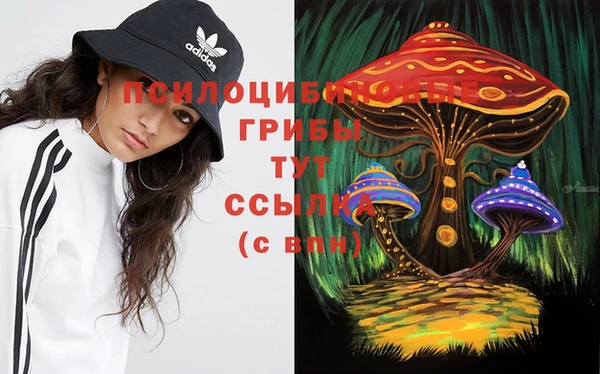 а пвп мука Абдулино