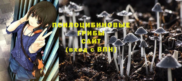 ECSTASY Ладушкин