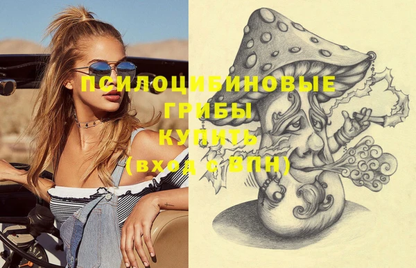 круглые Абаза