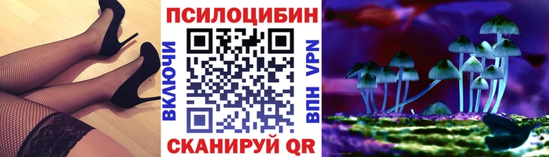 Псилоцибиновые грибы Magic Shrooms магазин наркотиков Новокузнецк