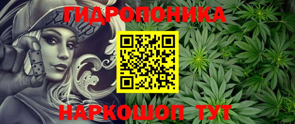 МАРИХУАНА VHQ  Вход с VPN  Шишки марихуана тримм  Новокузнецк 
